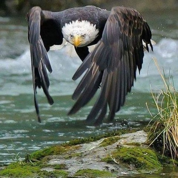 Meet your Posher, David - Picture 1 of 1